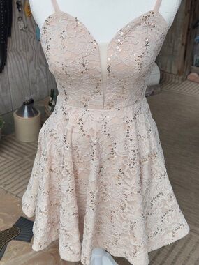 Xtraordinary Cream with Gold Sequin Lace Fit & Flare Dress